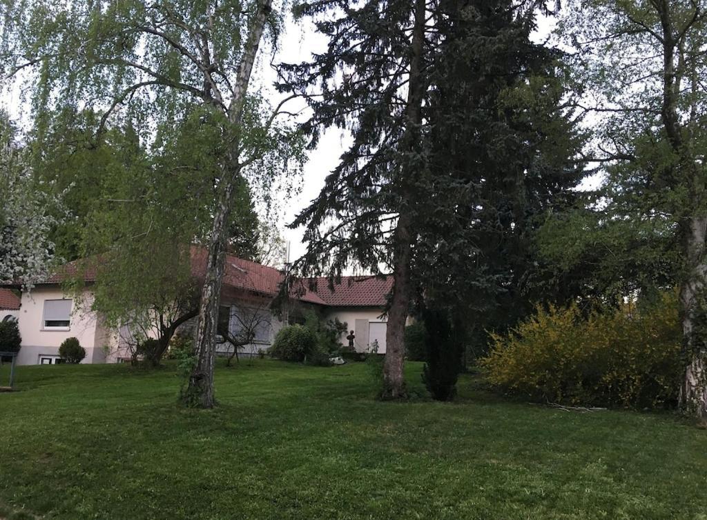 Schoene Ferienwohnung 2,5 Zimmer In Stadtnaehe Mit Eigenem Hofgarten Балинген Екстериор снимка